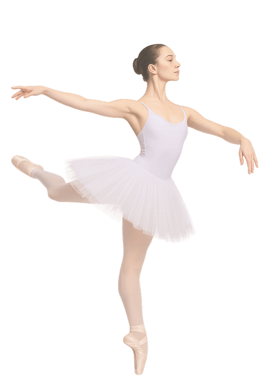 Ballerina Hero Image
